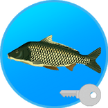 True Fishing key Fishing simulator MOD APK android 1.12.4.607