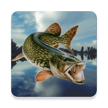 Fishing in Yerky MOD APK android 4.4.1