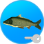 True Fishing key Fishing simulator MOD APK android 1.14.0.623 Icon