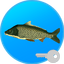 True Fishing key Fishing simulator MOD APK android 1.14.3.655 Icon