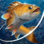 Fishing Hook MOD APK 2.5.5 Unlimited Coins Icon