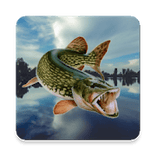 Fishing in Yerky MOD APK android 4.5.2
