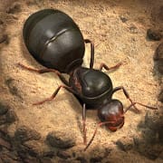 The Ants Underground Kingdom MOD APK android 1.0.0.4