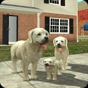 Dog Sim Online Raise a Family MOD APK 202 money