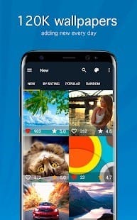 Wallpapers & backgrounds mod apk1