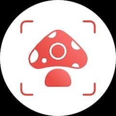 Picture Mushroom Mushroom ID Premium APK MOD 2.8.15 Unlocked