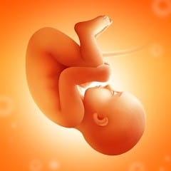 Pregnancy and Due Date Tracker APK MOD 3.58.0 Gold Unlocked