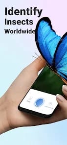 Picture insect spider id premium apk mod 2.8.2 unlocked1