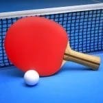 Ping Pong Fury APK 1.38.0.3949