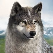 Wolf Game The Wild Kingdom APK 1.0.4 Latest
