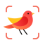 Picture Bird Bird Identifier MOD APK 2.9.11 Premium Unlocked Icon
