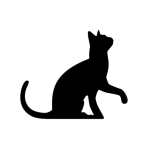 Human to Cat Translator MOD APK 1.0.10 Premium Unlocked