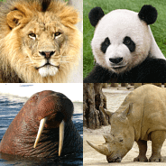 Animals Quiz Learn All Mammals MOD APK 3.6.0 Unlimited Money