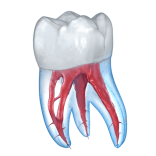 Dental 3D Illustrations APK 2.0.86 Subscribed Altered Purged