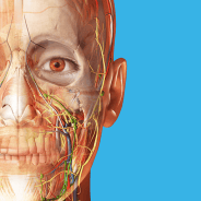 Human Anatomy Atlas 2023 Mod APK 2023.05.005 All Unlocked