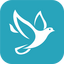FocusTwitter APK 3.6.1.20231110 Pro Icon