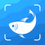Picture Fish Fish Identifier MOD APK 2.4.21 Premium Unlocked Icon